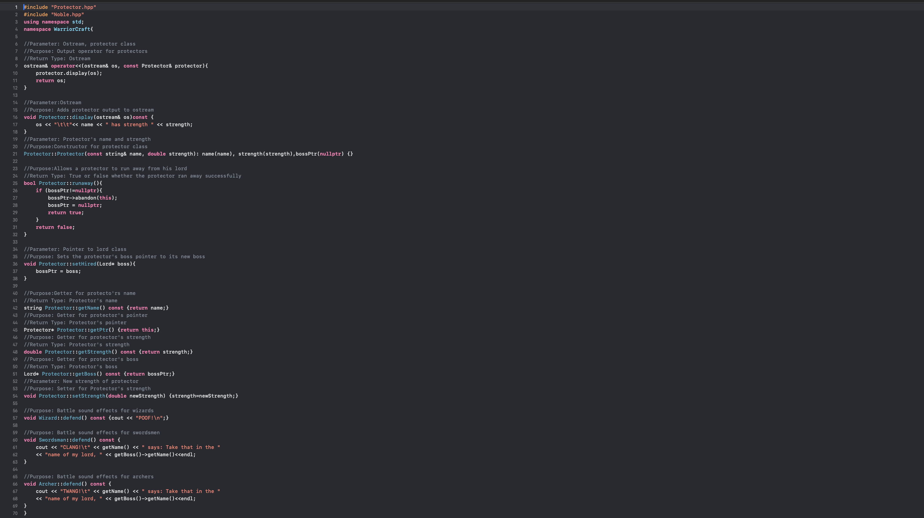 Screenshot of Protector C++ File