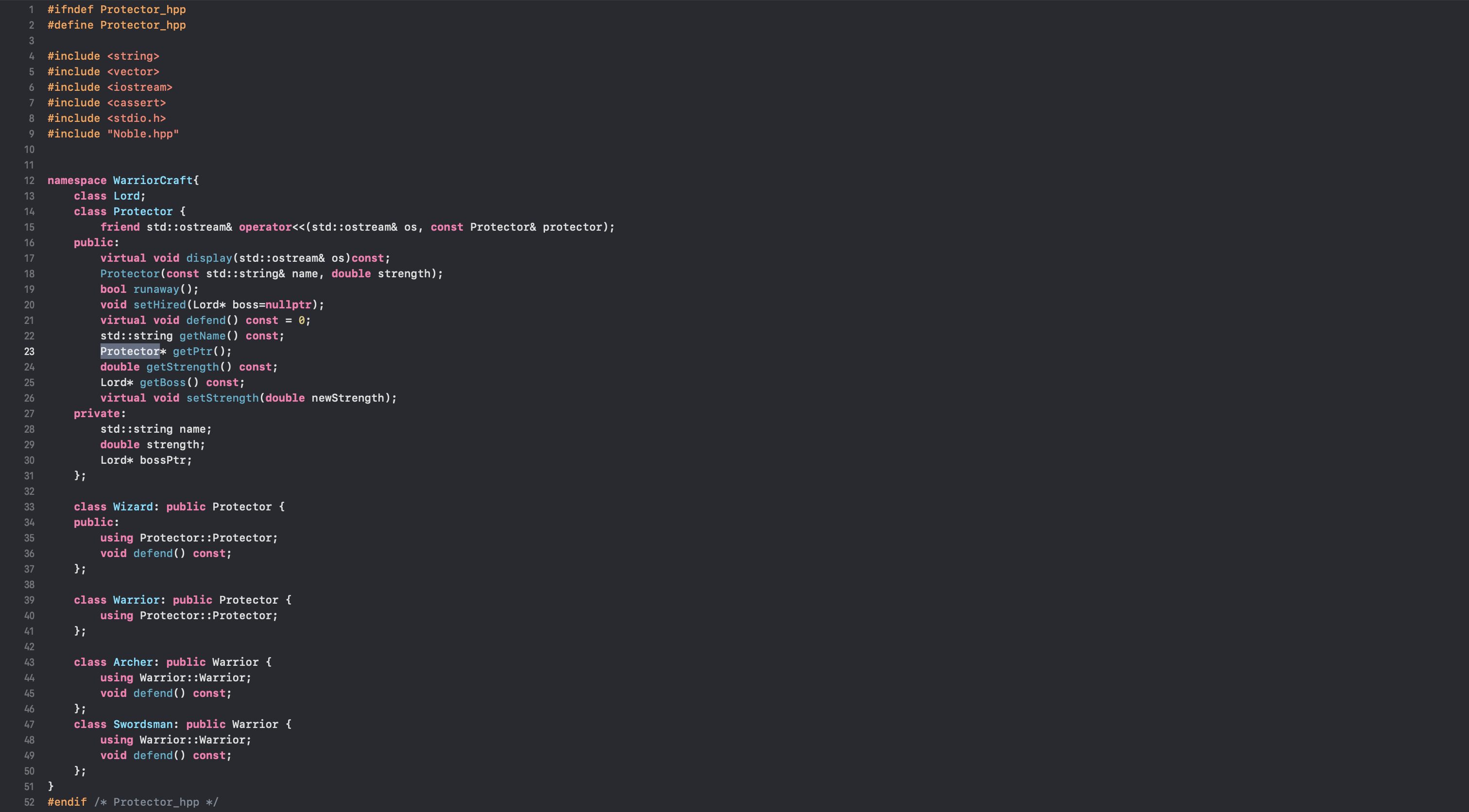 Screenshot of Protector Header File